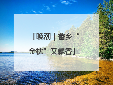 晚潮｜畲乡“金枕”又飘香
