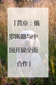 普京：俄罗斯愿与中国开展全面合作