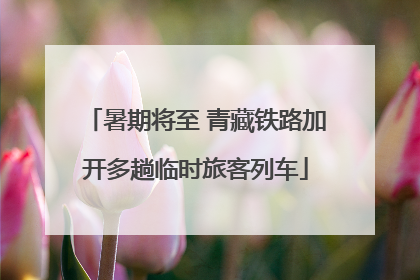暑期将至 青藏铁路加开多趟临时旅客列车