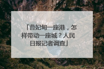 曹妃甸一座港，怎样带动一座城？人民日报记者调查
