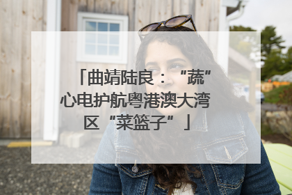 曲靖陆良：“蔬”心电护航粤港澳大湾区“菜篮子”
