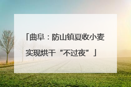 曲阜：防山镇夏收小麦实现烘干“不过夜”