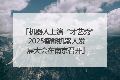 机器人上演“才艺秀” 2025智能机器人发展大会在南京召开