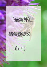 最新外汇储备数据公布！