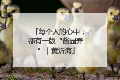 每个人的心中，都有一版“酱园弄”｜黄沂海