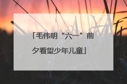 毛伟明“六一”前夕看望少年儿童