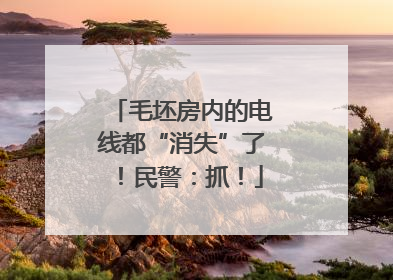 毛坯房内的电线都“消失”了！民警：抓！