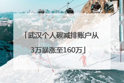 武汉个人碳减排账户从3万暴涨至160万