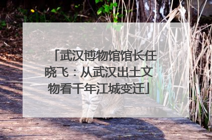 武汉博物馆馆长任晓飞：从武汉出土文物看千年江城变迁