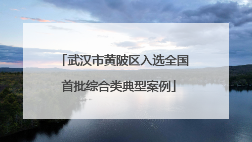 武汉市黄陂区入选全国首批综合类典型案例