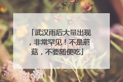 武汉雨后大量出现，非常罕见！不是蘑菇，不要随便吃