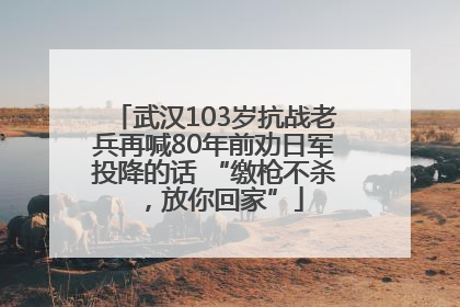 武汉103岁抗战老兵再喊80年前劝日军投降的话 “缴枪不杀，放你回家”