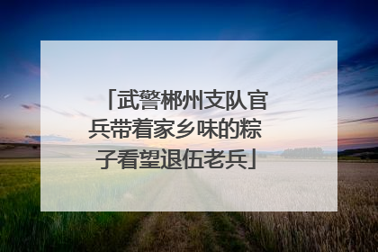 武警郴州支队官兵带着家乡味的粽子看望退伍老兵