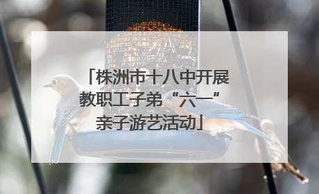 株洲市十八中开展教职工子弟“六一”亲子游艺活动