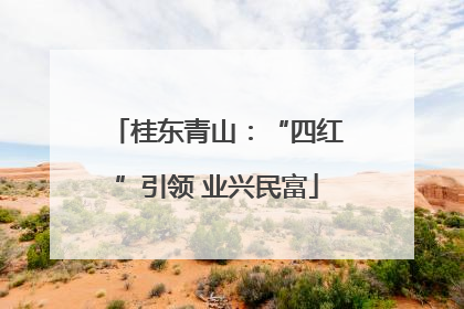 桂东青山：“四红”引领 业兴民富