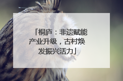 桐庐：非遗赋能产业升级，古村焕发振兴活力