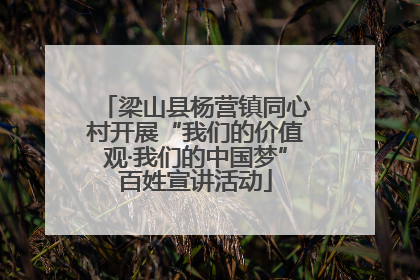 梁山县杨营镇同心村开展“我们的价值观·我们的中国梦”百姓宣讲活动