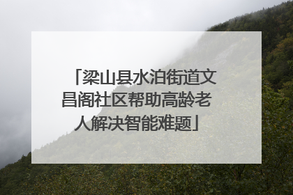 梁山县水泊街道文昌阁社区帮助高龄老人解决智能难题