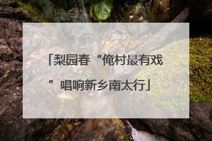梨园春“俺村最有戏”唱响新乡南太行