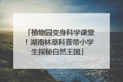 植物园变身科学课堂！湖南林草科普带小学生探秘自然王国