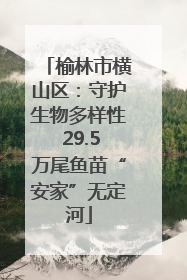 榆林市横山区：守护生物多样性 29.5万尾鱼苗“安家”无定河