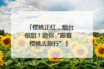 樱桃正红，烟台很甜！邀你“跟着樱桃去旅行”