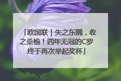 欧国联｜失之东隅，收之桑榆！四年无冠的C罗终于再次举起奖杯