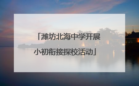 潍坊北海中学开展小初衔接探校活动