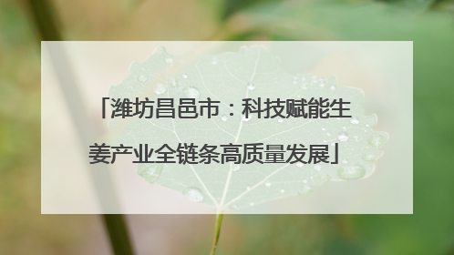 潍坊昌邑市：科技赋能生姜产业全链条高质量发展