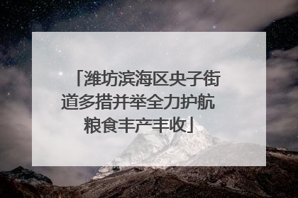 潍坊滨海区央子街道多措并举全力护航粮食丰产丰收