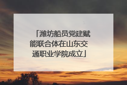 潍坊船员党建赋能联合体在山东交通职业学院成立