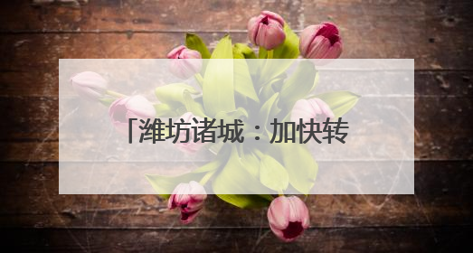 潍坊诸城：加快转变育人方式 谱写研学实践新篇章