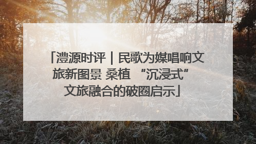 澧源时评｜民歌为媒唱响文旅新图景 桑植 “沉浸式” 文旅融合的破圈启示