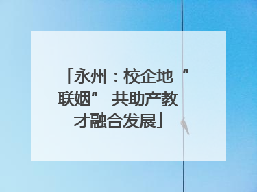 永州：校企地“联姻” 共助产教才融合发展