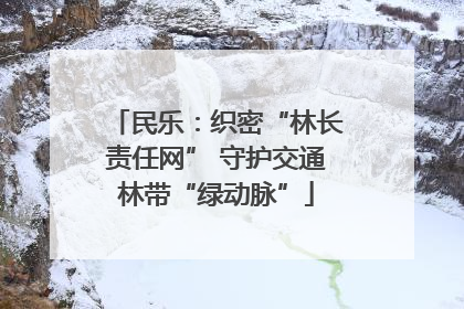 民乐：织密“林长责任网” 守护交通林带“绿动脉”