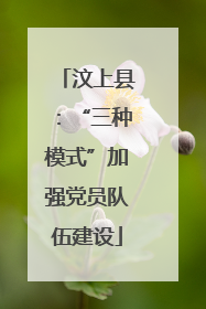 汶上县：“三种模式”加强党员队伍建设