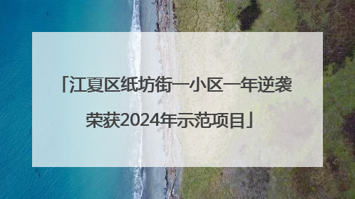 江夏区纸坊街一小区一年逆袭 荣获2024年示范项目