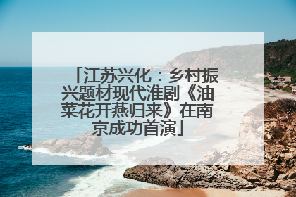 江苏兴化：乡村振兴题材现代淮剧《油菜花开燕归来》在南京成功首演