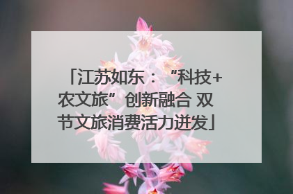 江苏如东：“科技+农文旅”创新融合 双节文旅消费活力迸发