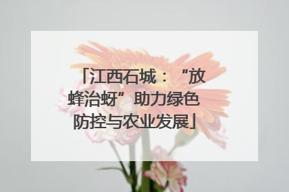 江西石城：“放蜂治蚜”助力绿色防控与农业发展
