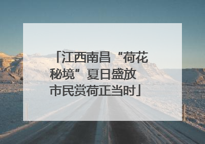 江西南昌“荷花秘境”夏日盛放 市民赏荷正当时