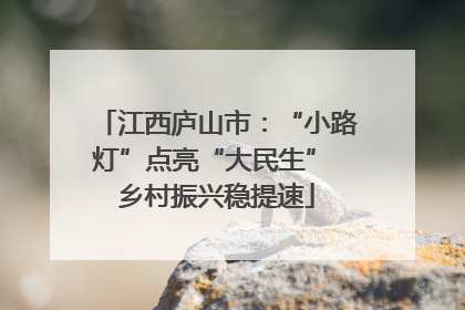 江西庐山市：“小路灯”点亮“大民生” 乡村振兴稳提速