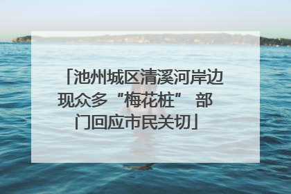 池州城区清溪河岸边现众多“梅花桩” 部门回应市民关切