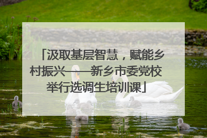 汲取基层智慧，赋能乡村振兴——新乡市委党校举行选调生培训课