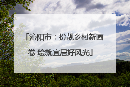 沁阳市：扮靓乡村新画卷 绘就宜居好风光