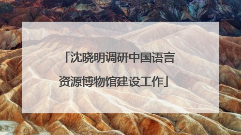 沈晓明调研中国语言资源博物馆建设工作
