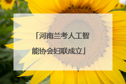 河南兰考人工智能协会妇联成立