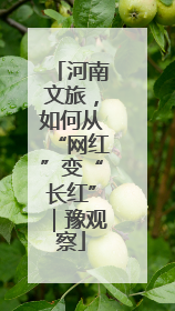 河南文旅，如何从“网红”变“长红”｜豫观察