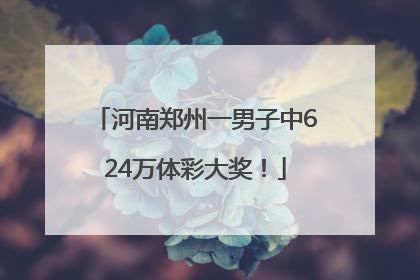 河南郑州一男子中624万体彩大奖！