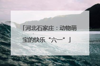 河北石家庄：动物萌宝的快乐“六一”